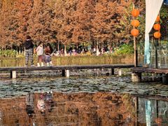 -白鹭湾湿地公园