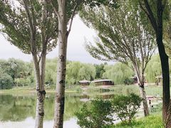 -北坞公园