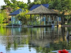 -抚仙湖万达文华酒店