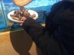 -芭菲盛宴·环球美食(北城国际店)