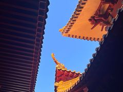 -深圳仙湖植物园