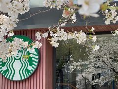 -星巴克臻选(苏州汇豪店)