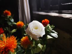 -老屋咖啡