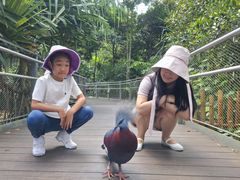 -新加坡飞禽公园