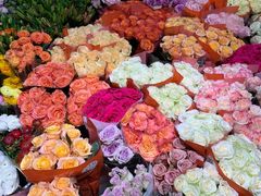 -双季花艺园艺市场(浦东店)