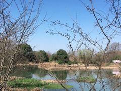 -西溪国家湿地公园