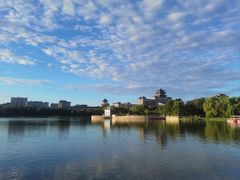 -莲花池公园
