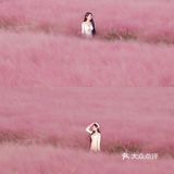 济南最大免费粉黛子