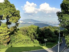 -黄埔油麻山森林公园