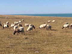 -青海湖国家重点风景名胜区