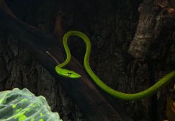 -酷嗒动物文化乐园(cutezoo西溪乐天城店)