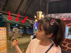 -清迈夜间动物园