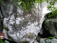 -呀诺达热带雨林
