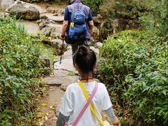 -佛慧山