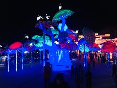 -淄博花灯齐彩城