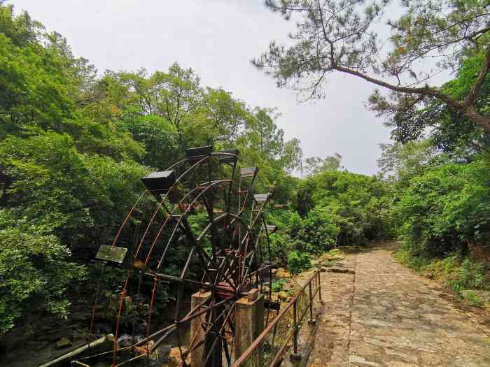 那金谷-"从开平出发一个多小时就到了, 很适合一家."-大众点评移动版