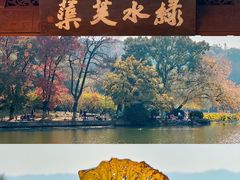 -西湖游船