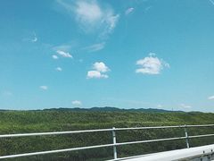 -名古屋城