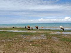 -青海湖国家重点风景名胜区