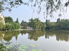 -白洋淀景区