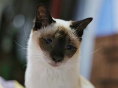 -宠颐生中康贝怡动物医院