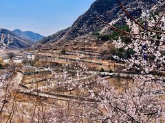 -妙峰山风景名胜区