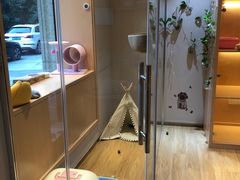 -Pets First伊珊娜洗护·精致美容·家庭式寄养(新会路店)