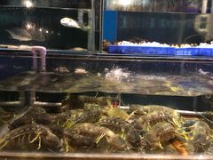 -辉记炭烧海鲜大排档·老字号(福田店)