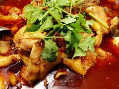 石锅鱼-虎虎龙虾大排档(双井店)