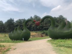 -大塘金香草谷
