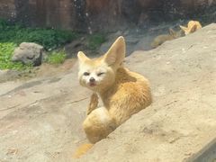 -杭州野生动物世界