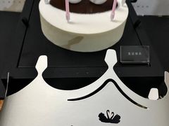 -BLACKSWAN黑天鹅(环球店)