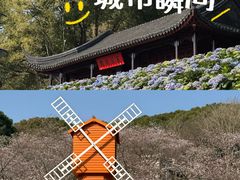 -苏州上方山国家森林公园