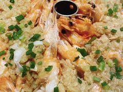 -老号尤兔头(幸福店)