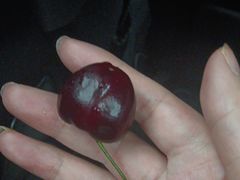 -盒马鲜生(公园1903店)