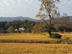 -塔川景区