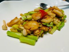 芦笋小白菇炒鲜带子-新光酒家·河豚·海鲜·蟹料理(浦东店)
