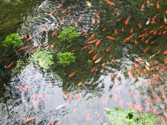 -水磨沟公园