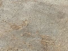 -马王堆汉墓遗址