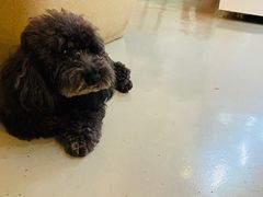 -唐咖精品咖啡(大理古城手冲店)