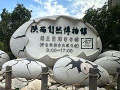 -陕西自然博物馆