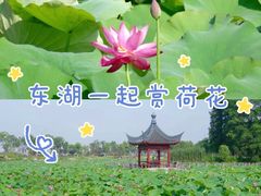 -东湖生态旅游风景区