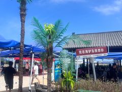 -海驴岛(荣成市)