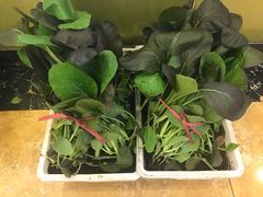 -北塘海鲜·天津菜(大光明桥旗舰店)