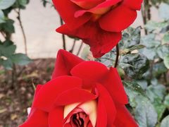 -人民公园(罗湖区)