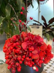 -南京医科大学友谊整形外科医院