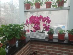 -金豆角砂锅焖面(安贞店)