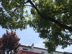 -宜城私房菜.臭鳜鱼(九华新街店)