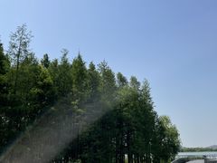 -蠡湖大桥公园