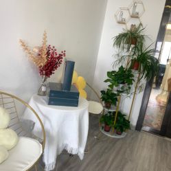 -凡碧诗毛孔收细